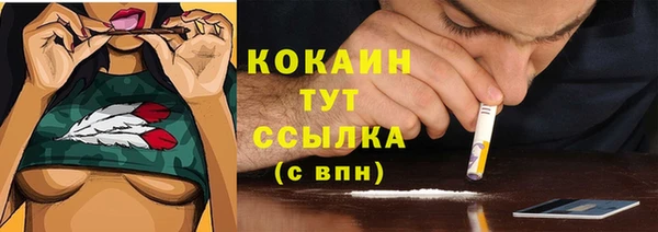 стафф Магадан