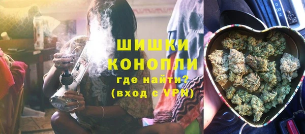 сатива Горнозаводск
