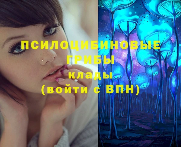 спайс Горняк