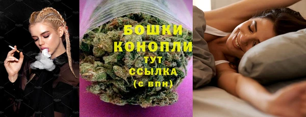 сатива Горнозаводск